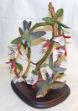 Picture of Colibri - Tropical paradise